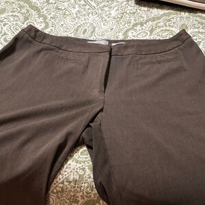 Liz Claiborne Women's Dark Brown Trousers